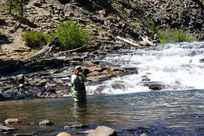 DSC_9925 (Large).JPG